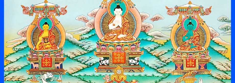 Dhjani budos